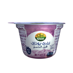 NADA GREEK YOG BLUE BERRY-160GM