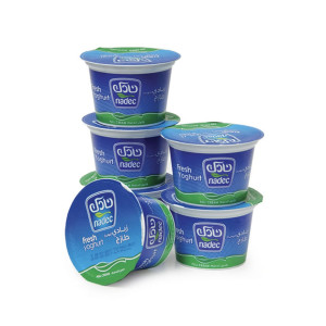 Nadec Youghurt  FF-6X170gm