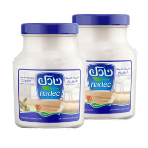 NADEC CREAM CHEESE-2X500GM