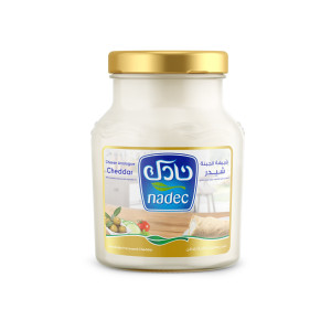 NADEC CREAM CHEESE SPREAD-500GM