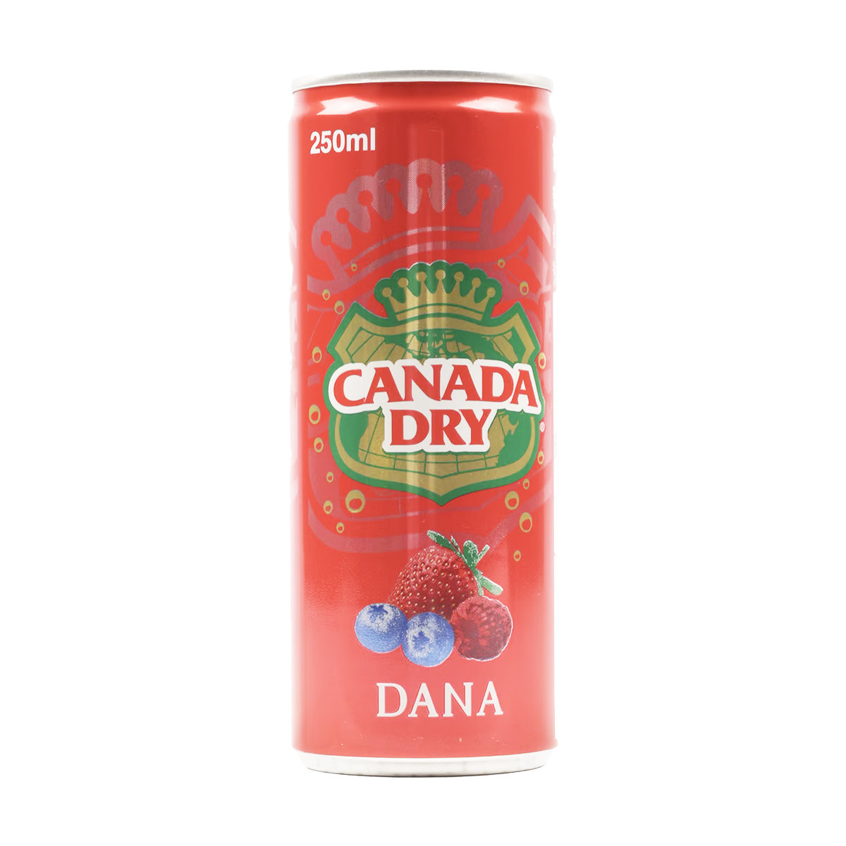 CANADA DRY DANA CAN-250ML