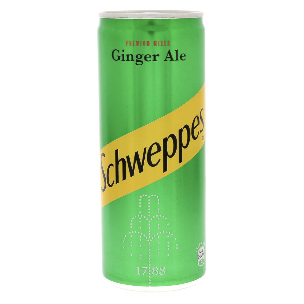 SCHW GINGER ALE-250ML