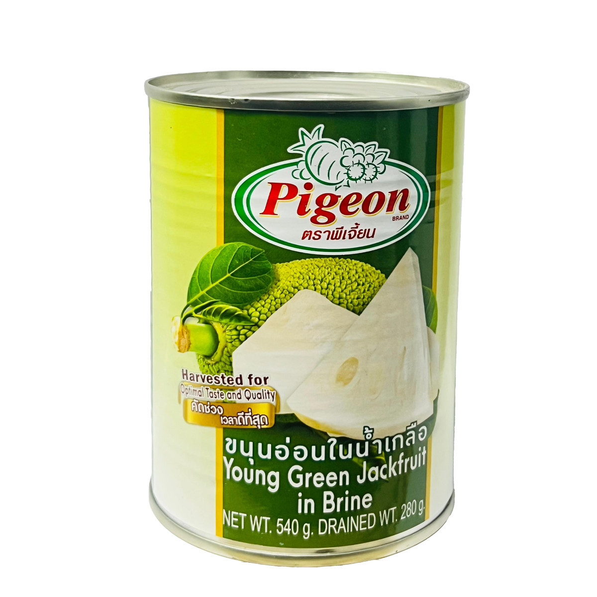 PIGEON BRAND GREEN JACKFRUIT IN BRINE-540GM